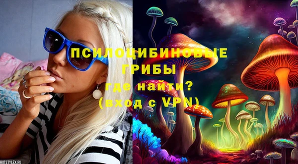 гашик Зеленокумск