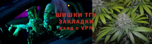 гашик Зеленокумск