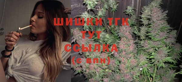 гашик Зеленокумск