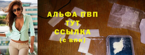 гашик Зеленокумск